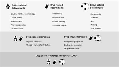 Drug Disposition and Pharmacotherapy in Neonatal ECMO: From Fragmented Data to Integrated Knowledge